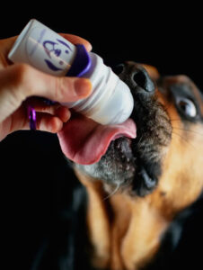 Doggy Roller avec mousqueton