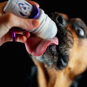 Doggy Roller avec mousqueton