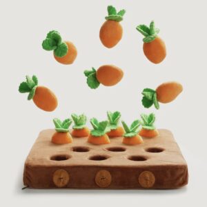 Jouet de fouille carottes