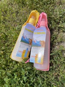 Bouteille de voyage