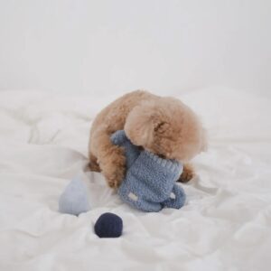 Jeu de fouille arrosoir